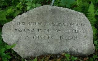 Bean Sanctuary Stone